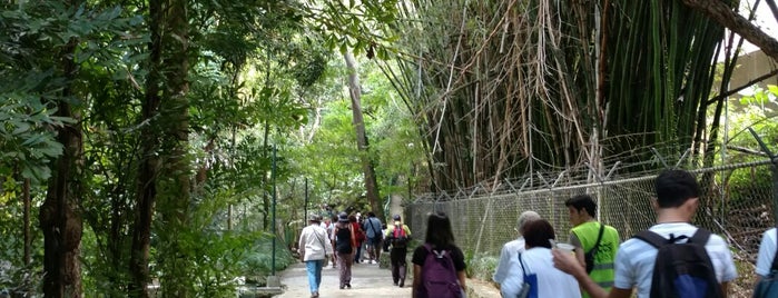 Parque Los Chorros is one of Áreas verdes en Caracas.