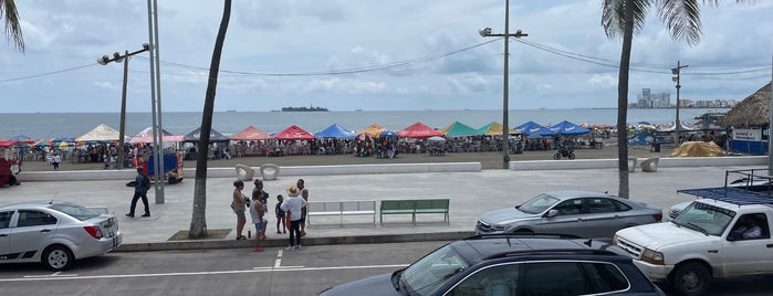 Playa Villa del Mar is one of Por Hacer.