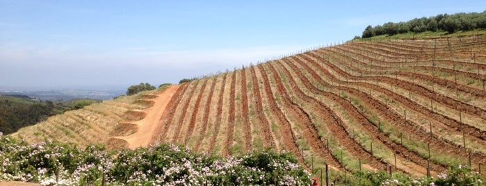 Tokara Winery is one of Cape Town + Winelands.