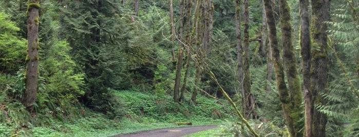 Forest Park - Ridge Trailhead is one of สถานที่ที่ Elena ถูกใจ.