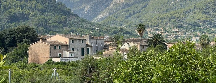 Ecovinyassa is one of Mallorca.