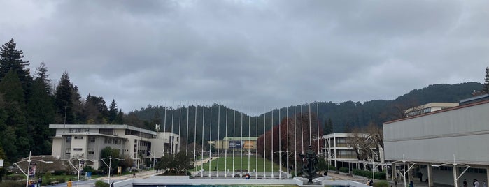 Universidad de Concepción is one of Lugares para visitar en Chile.