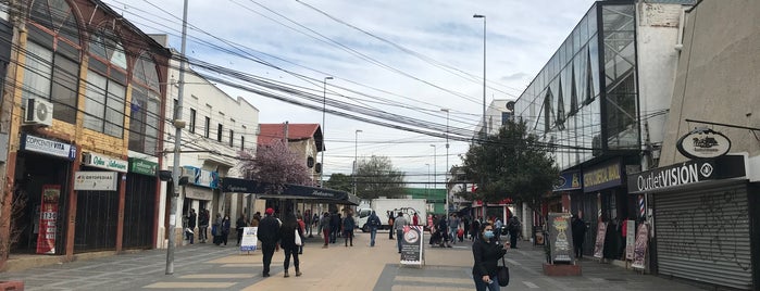 Paseo Latorre is one of Paseos Peatonales de Chile.