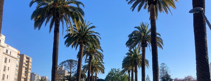 Plaza Sucre is one of Viña del Mar.