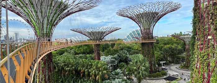 OCBC Skyway is one of Gardens By The Bay.