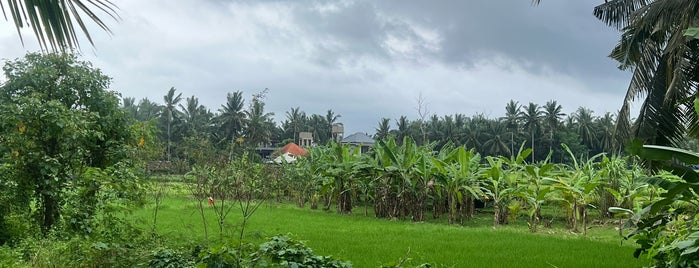Kajeng Rice Fields Walk is one of Bali ubud.