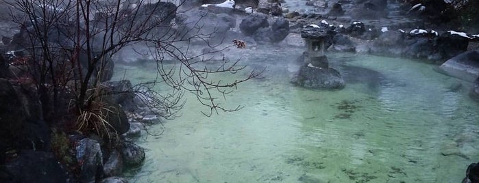 西の河原公園 is one of Japan 🇯🇵.