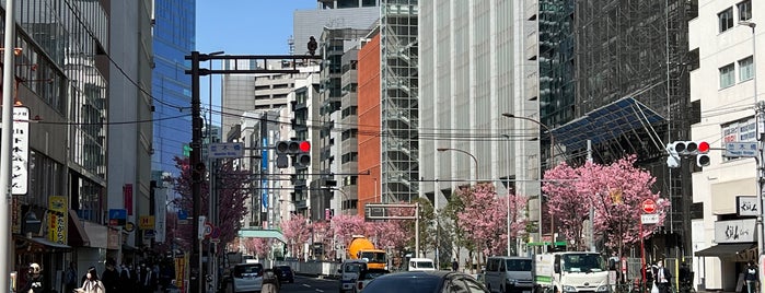 Namikibashi Intersection is one of 渋谷区.