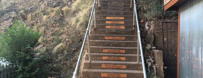 Bisbee Stairs is one of สถานที่ที่ eric ถูกใจ.