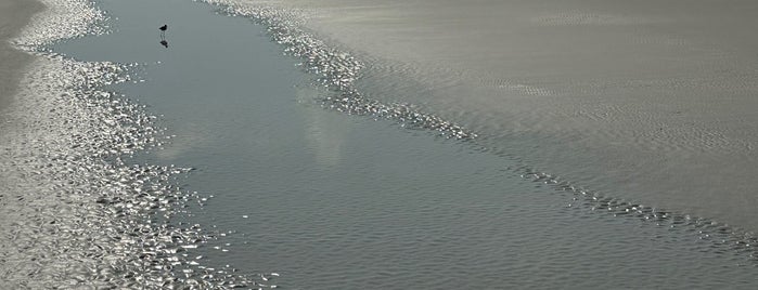 Praia Do Atalaia is one of Roza'nın Beğendiği Mekanlar.