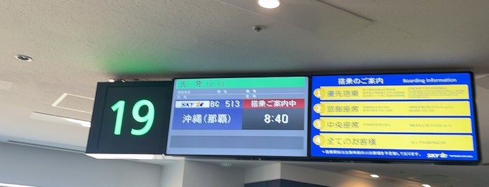 Gate 19 is one of 空港のスポット.