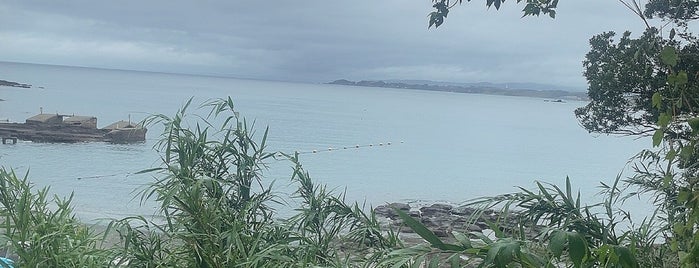 横堀海岸 is one of 東京界隈の綺麗げな浜🏖.