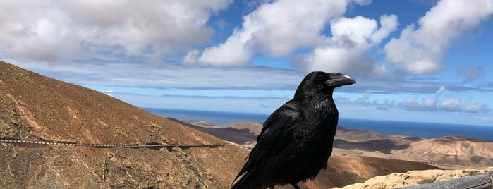 Degollada de los Grenadillos is one of My Fuerteventura.