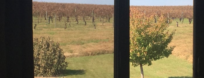 Harvest Grill At Shelton Vineyards is one of Locais curtidos por DCCARGUY.