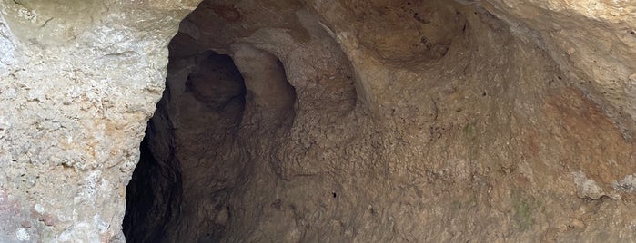 Grotte de Font de Gaume is one of Bordeaux Perigord.