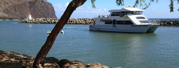 Expeditions Ferry to Lahaina is one of Guide to Lanai City's best spots.