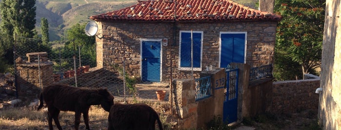 Halaka Köy Evi is one of Can'ın Beğendiği Mekanlar.