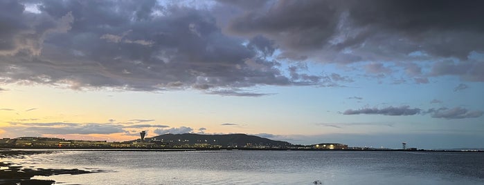 Bayfront Park is one of Bay Area.