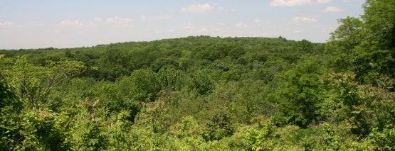 Greenbelt Nature Center is one of Staycation Spots in NYC.