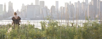 Eagle Street Rooftop Farms is one of Cool Things To Do on NYC Rooftops.