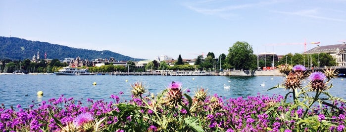 Zürichhorn is one of ZURICH THINGS TO DO.