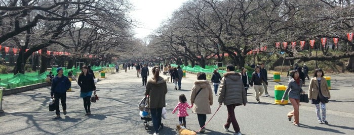Ueno Park is one of Tokyo.