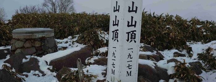 飯綱山山頂 is one of 日本の🗻ちゃん(⌒▽⌒).