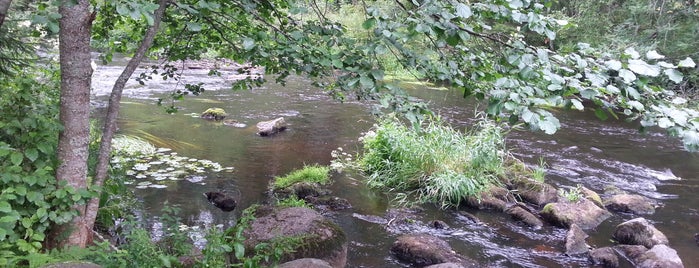 Линдуловская роща is one of สถานที่ที่ Вероника ถูกใจ.