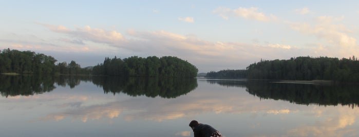 Pühajärve SPA & Holiday Resort is one of Tempat yang Disukai Вероника.