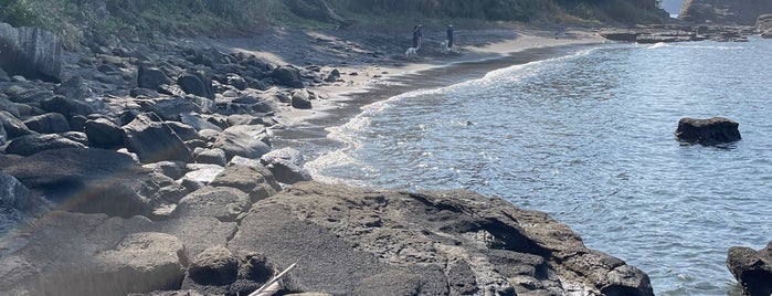 三戸浜 is one of 横須賀三浦半島.