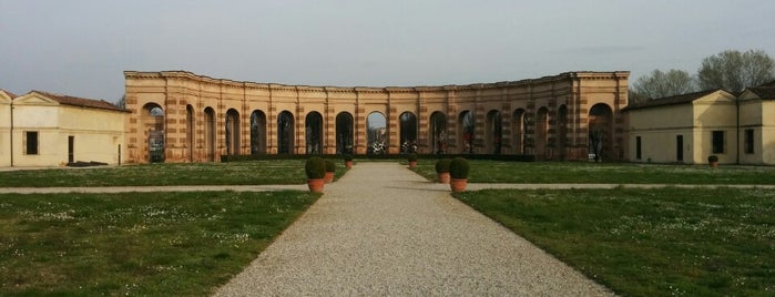 Palazzo Te is one of Italia.