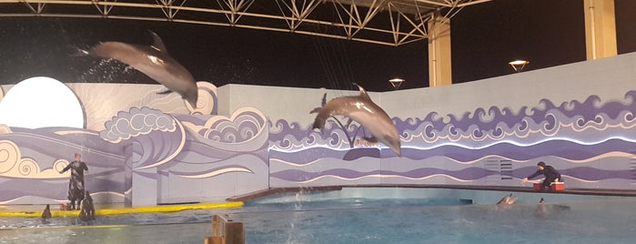 Fakieh Aquarium is one of KSA - Western Province 🇸🇦.