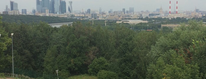Moscou is one of Lieux qui ont plu à Banu.