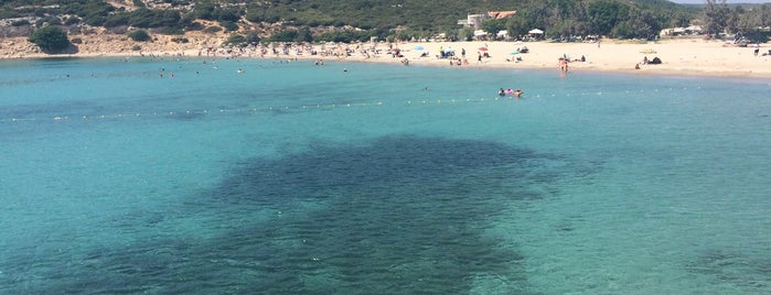 Altınköy Plaj is one of Locais curtidos por Banu.