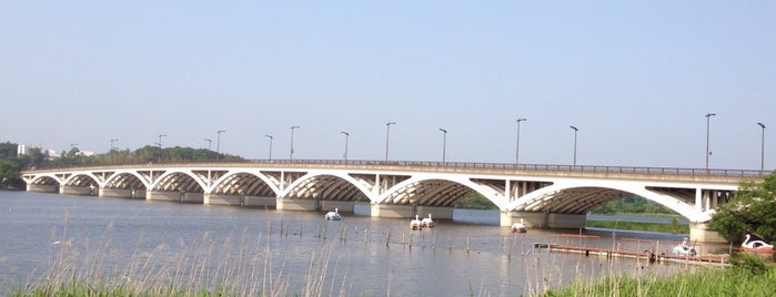手賀大橋 is one of 渡った橋（東日本）.