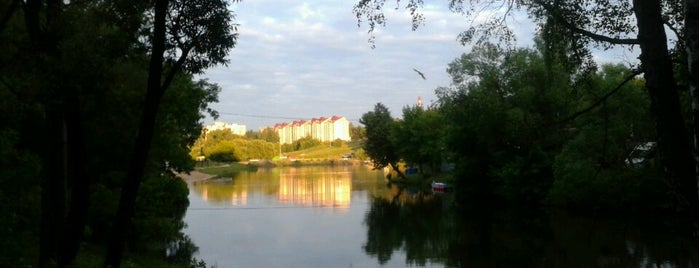 Печерский лесопарк is one of Lieux qui ont plu à Anna.