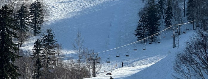 Furano Ski Area is one of 北海道(旭川・美瑛・富良野).