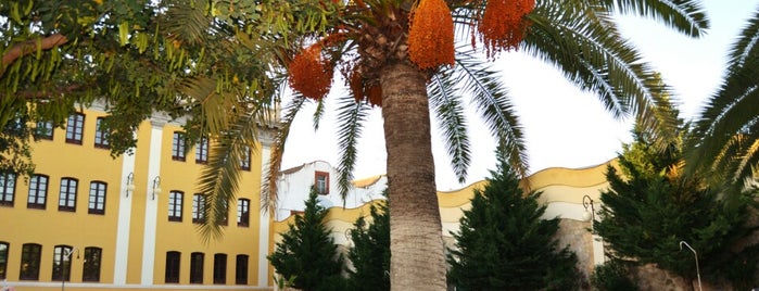 Hotel El Carmen is one of Donde Dormir en Puente Genil.