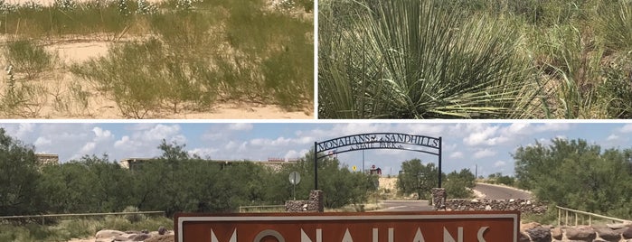 Monahans Sandhills State Park is one of :)  :O.