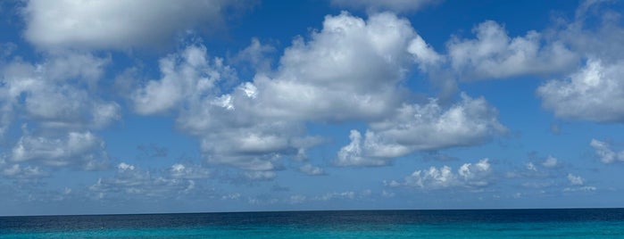 Pink Beach (53) is one of Dutch Caribbean.
