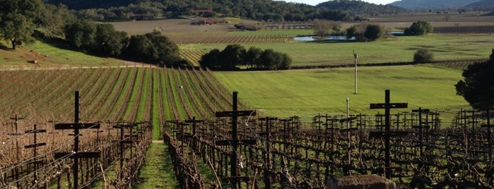 Gargiulo Vineyards is one of Wine Country.