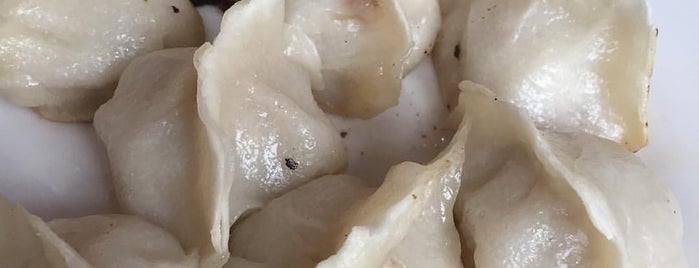 Yum Yum Dumplings is one of city spots :: ::.