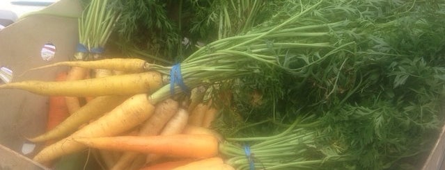 462 Halsey Community Garden is one of Bed-Stuy aka home.