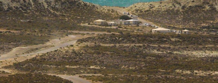 Cerro Avanzado is one of Conocete Puerto Madryn.