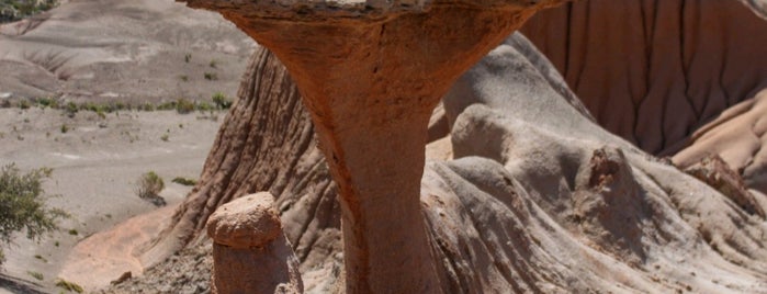 Bosque Petrificado de Rocas Coloradas is one of Conocete Comodoro Rivadavia (y RT).