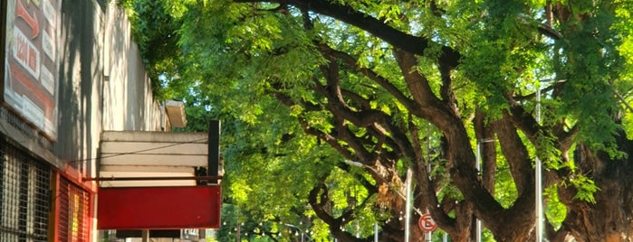 Paseo Alameda is one of Mendoza.