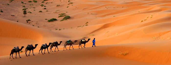 Marrakech is one of Authentic Sahara Tours.