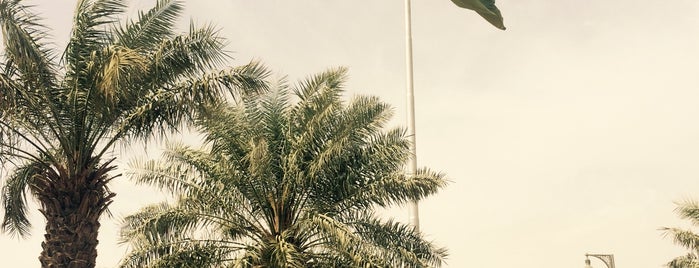 Flag Square is one of Riyadh’s outings.