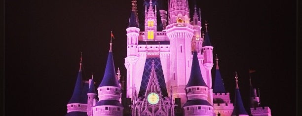 Cinderella Castle is one of Disney 2010.
