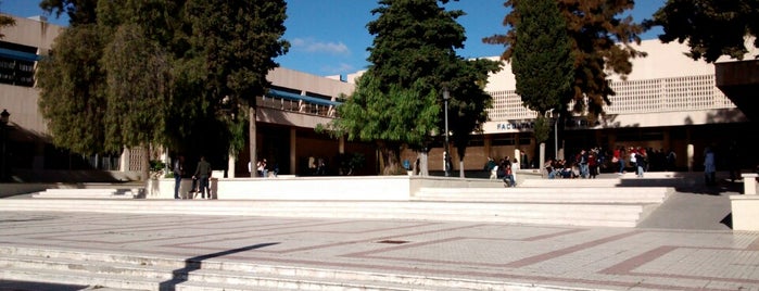 Facultad de Medicina is one of Universidad de Málaga.